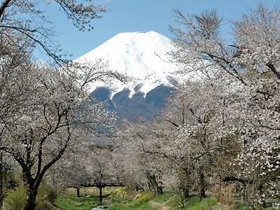 Pension Sumomo No Ki Oshino Zewnętrze zdjęcie